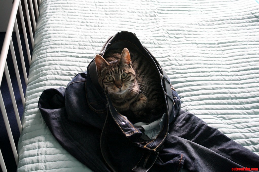 Shes the One Wearing the Pants in Our House.