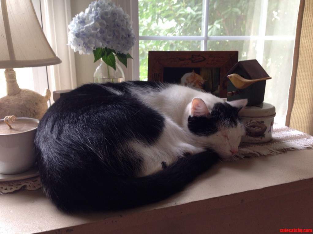 Shhh... Dont Wake the Side Table Decorations...