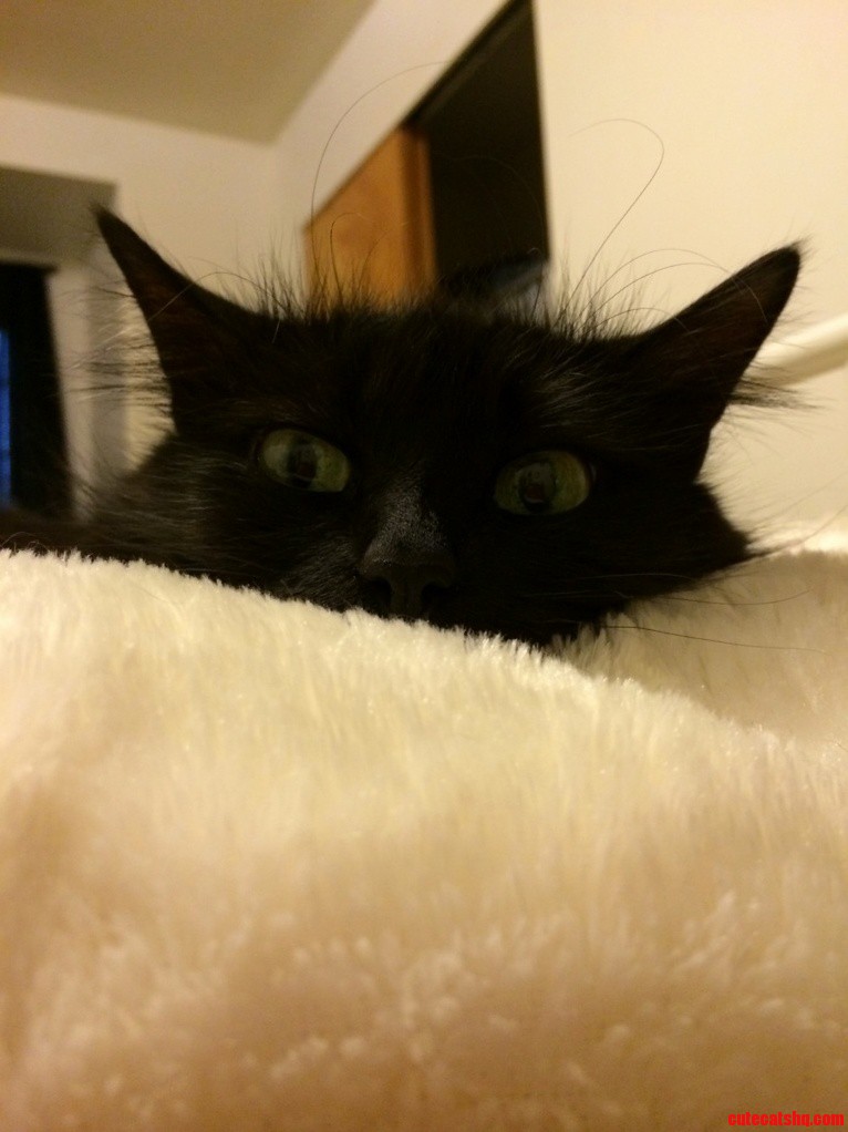 Sitting on the Floor and Painting My Nails Turned Around and Saw This Creeper Watching Me