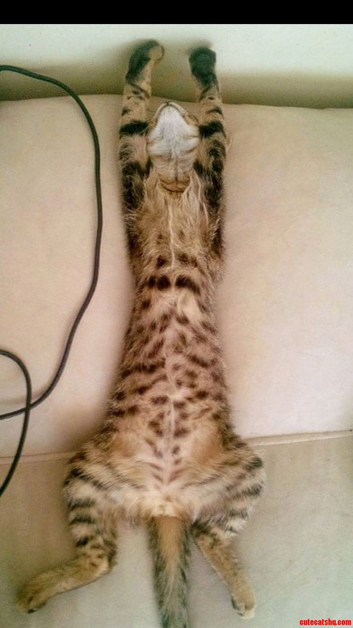 Sleep Hard