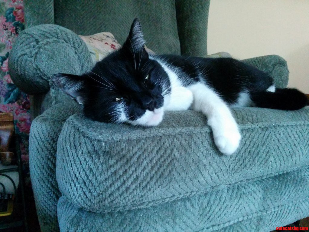 Sleepy As Usual