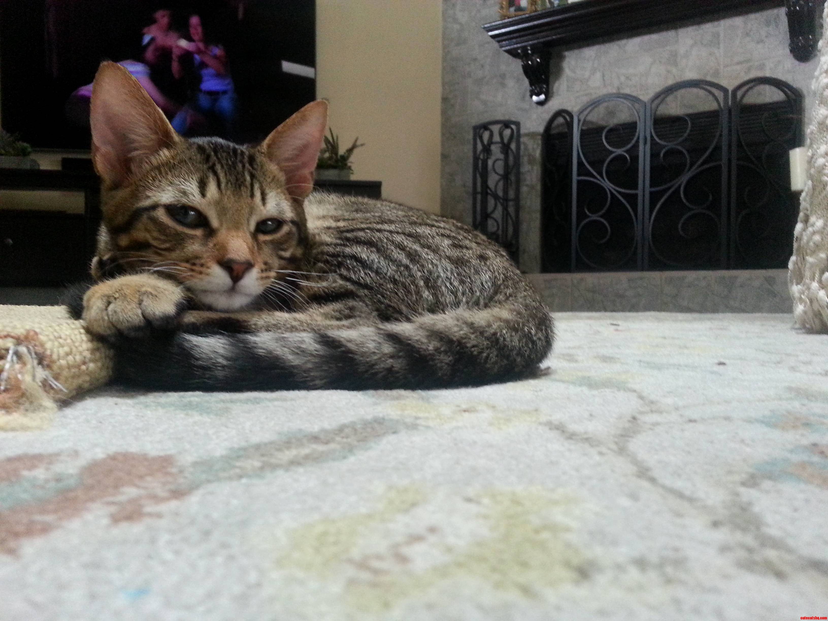 Sleepy Baby