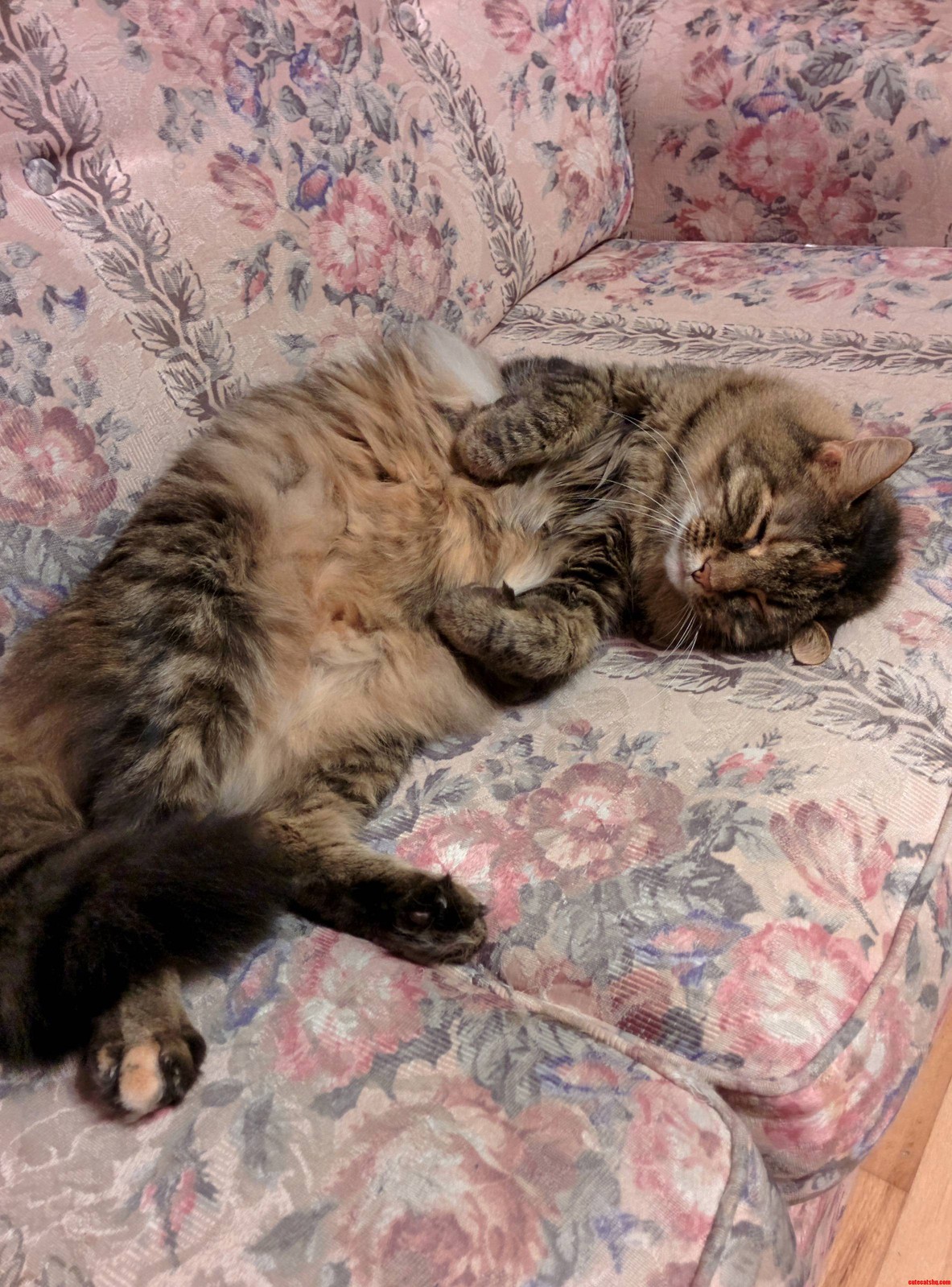Sleepy Girl