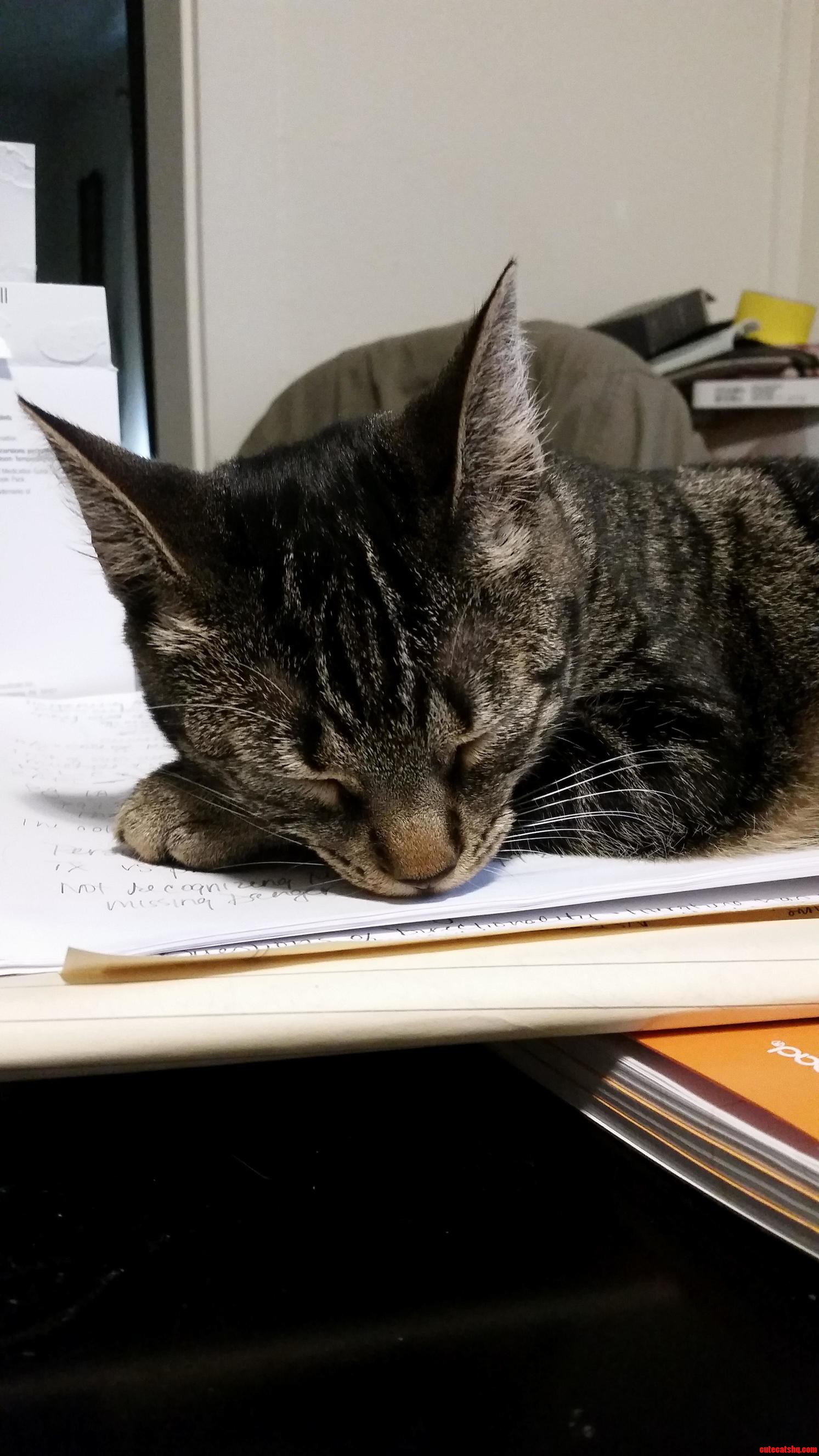 Sleepy Princess Eowyn
