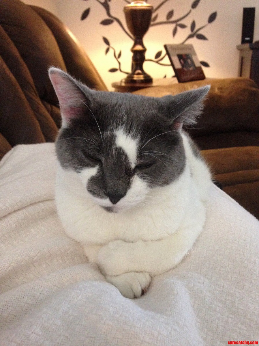 So Cute and Peaceful- Yet Soooo Naughty