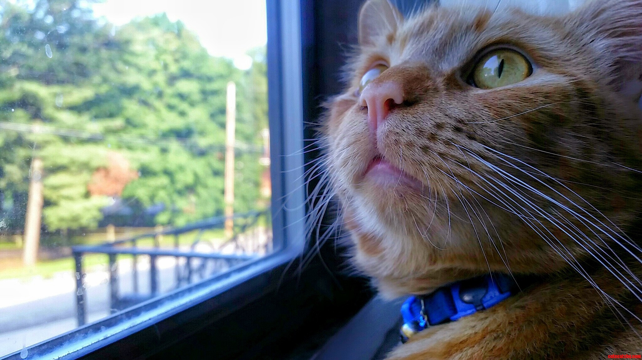 So Intense