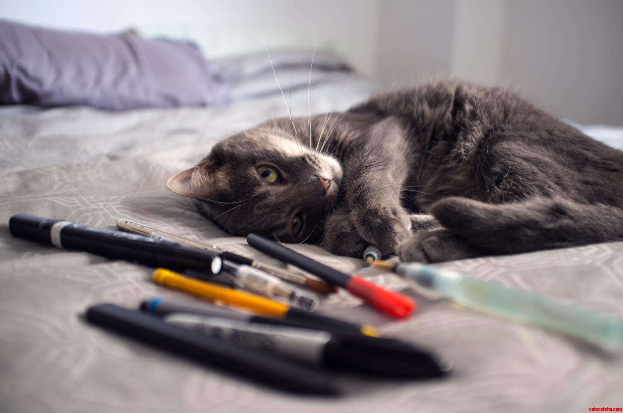 So This Happened When I Tried to Take a Picture of My Art Supplies