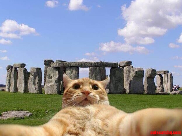 So This Was Posted by Curatorialcats on Twitter