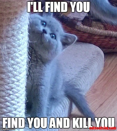 So You Think I Am Cute Nope