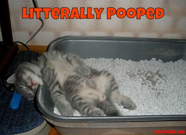 So...tired...
