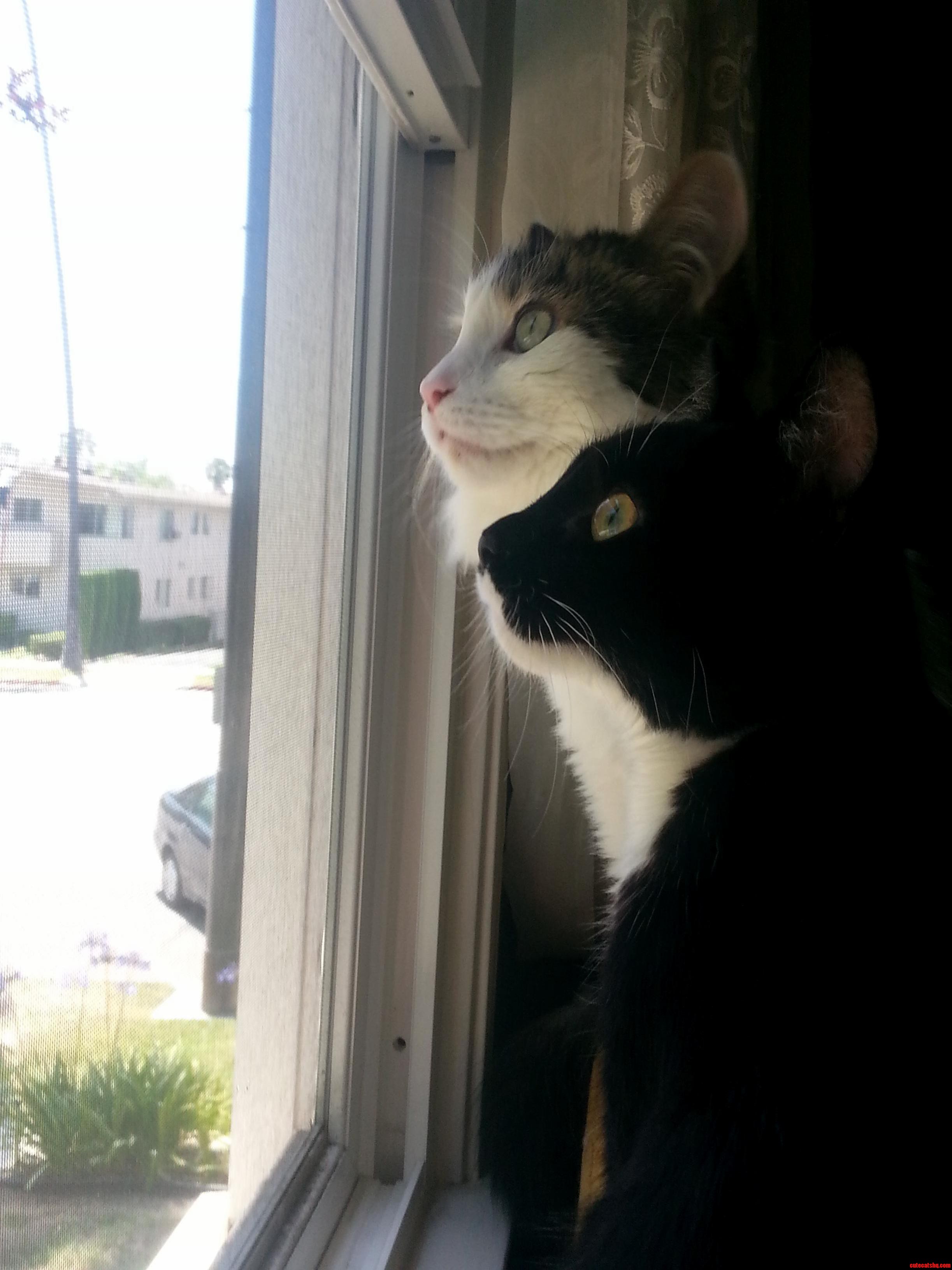 Someday Everything the Light Touches Will Be Yours.
