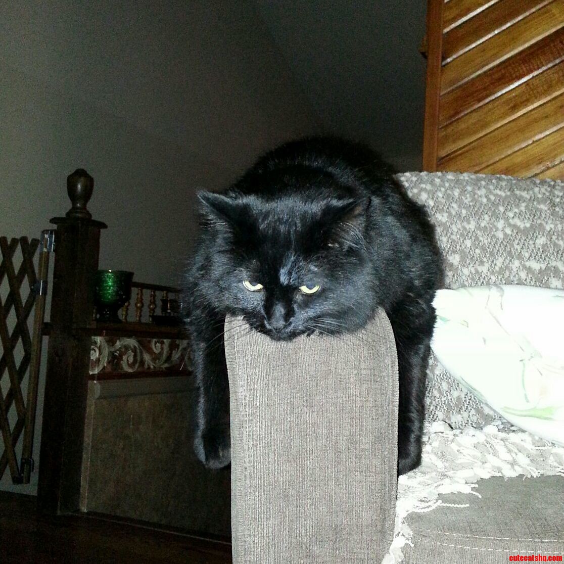 Someone Had a Rough Day