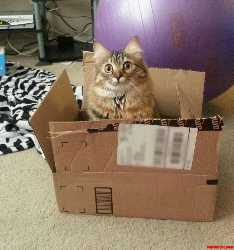Special Delivery
