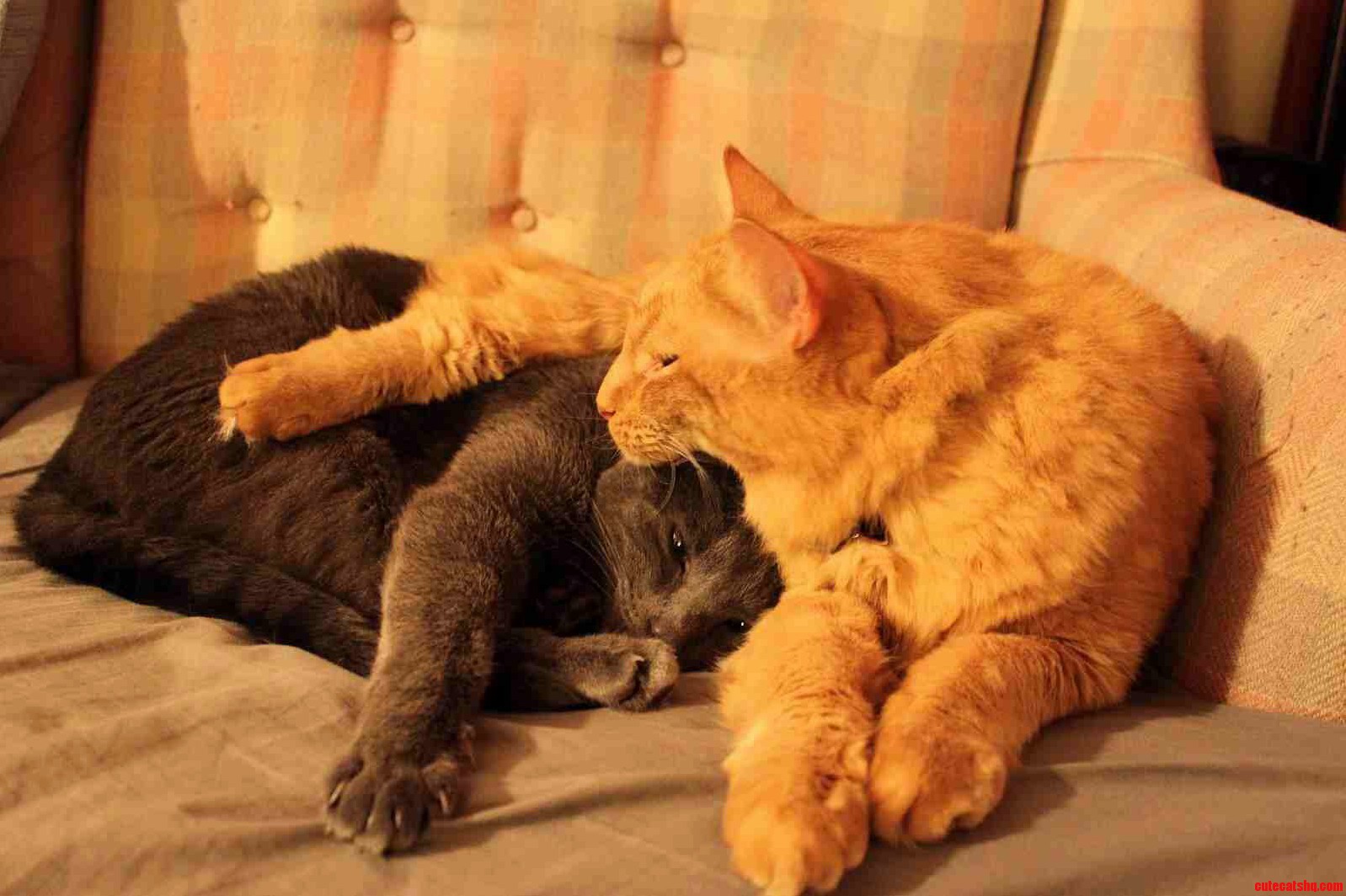 Spooning
