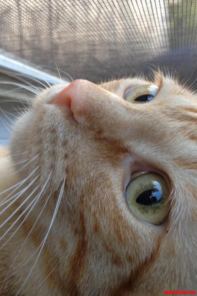 Staring Outside