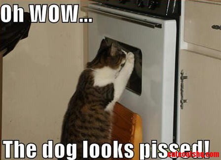 Stick It to the Dog