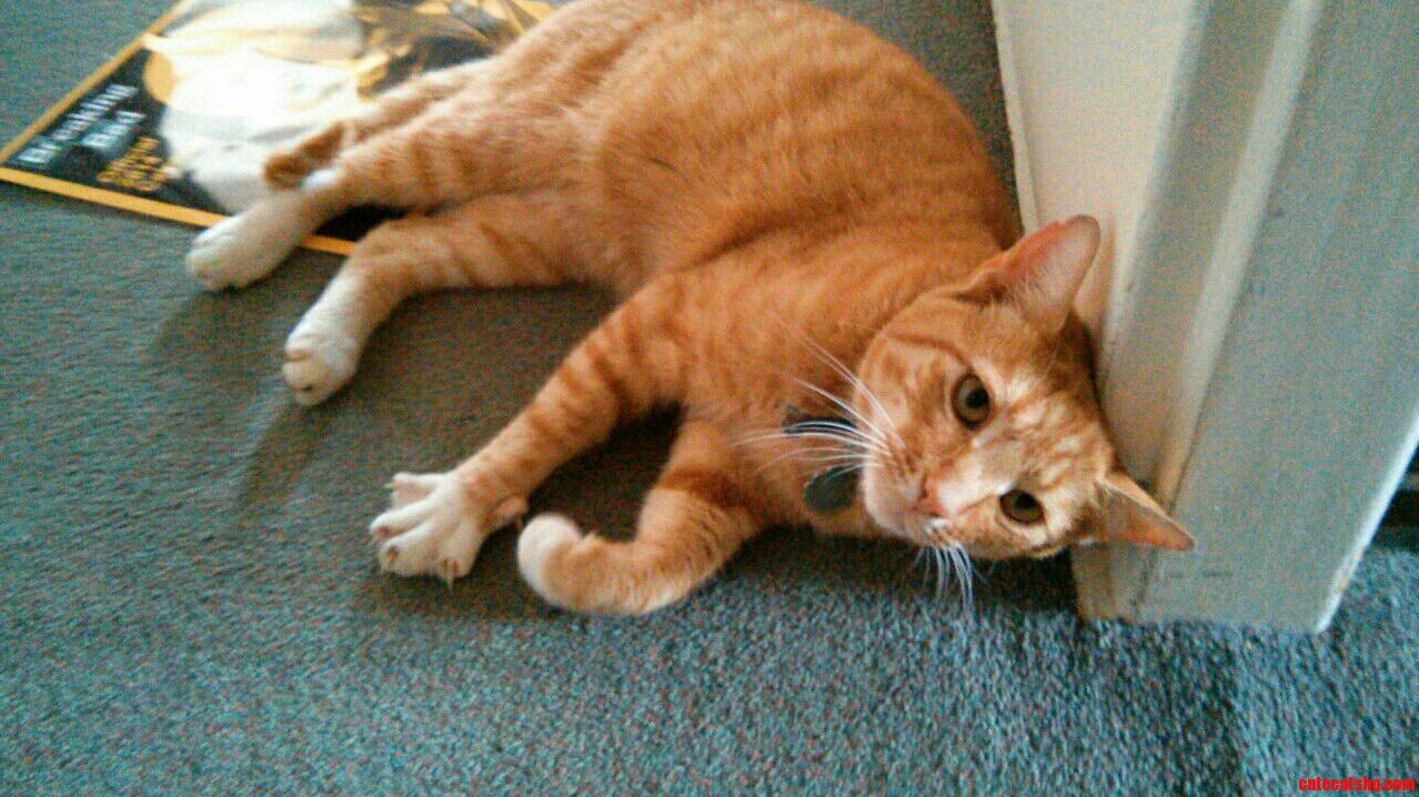 Stretching Out