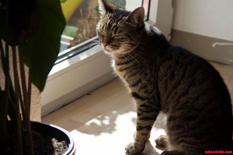 Sunbathing