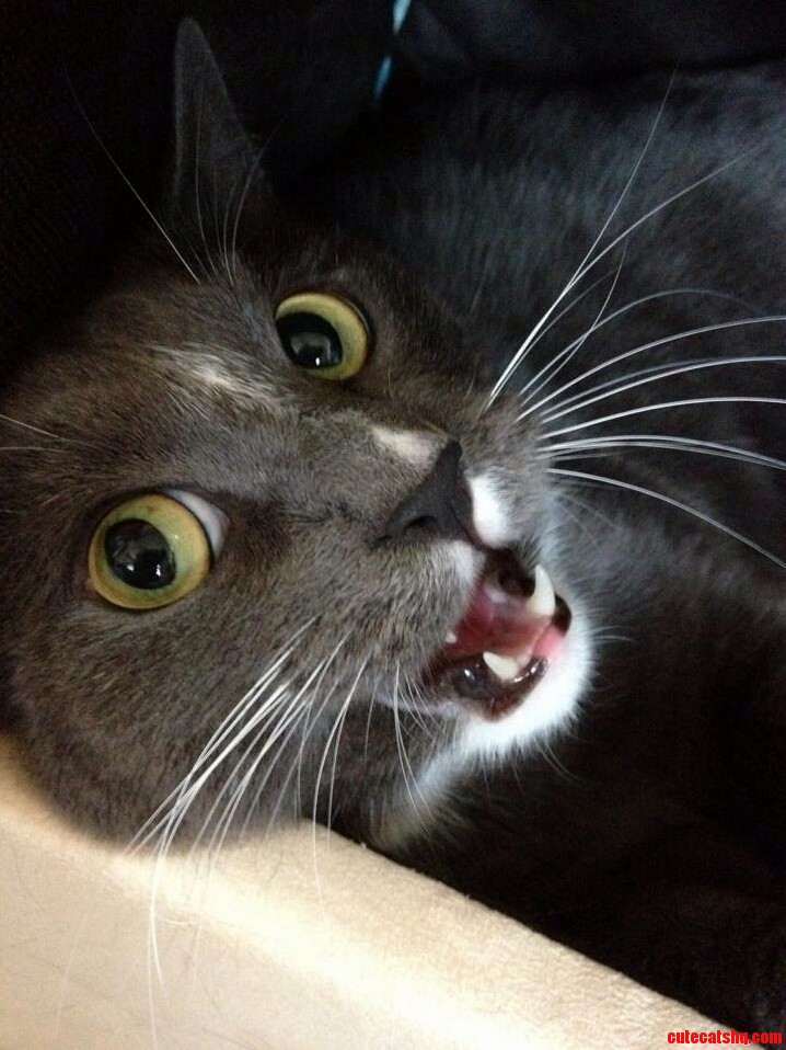 Sup ..
