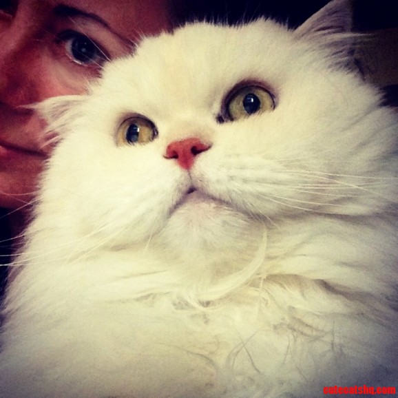 Take Me Selfie First ...Awww