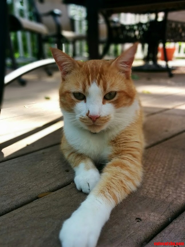 Testing Out Lens Blur on My New Phone