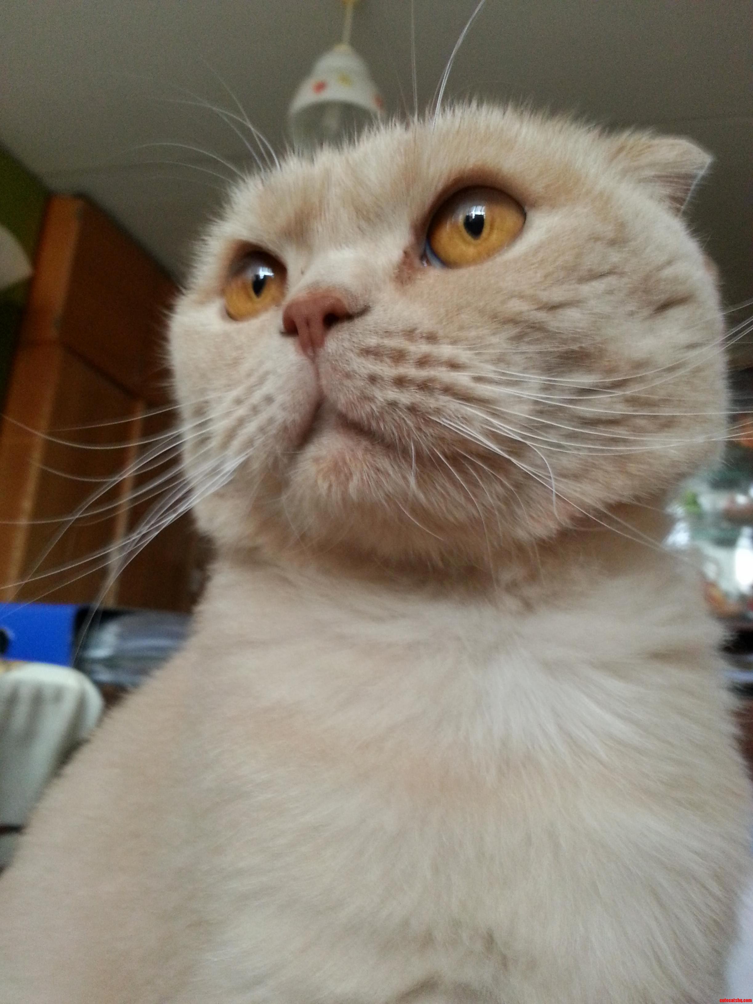 That Look...