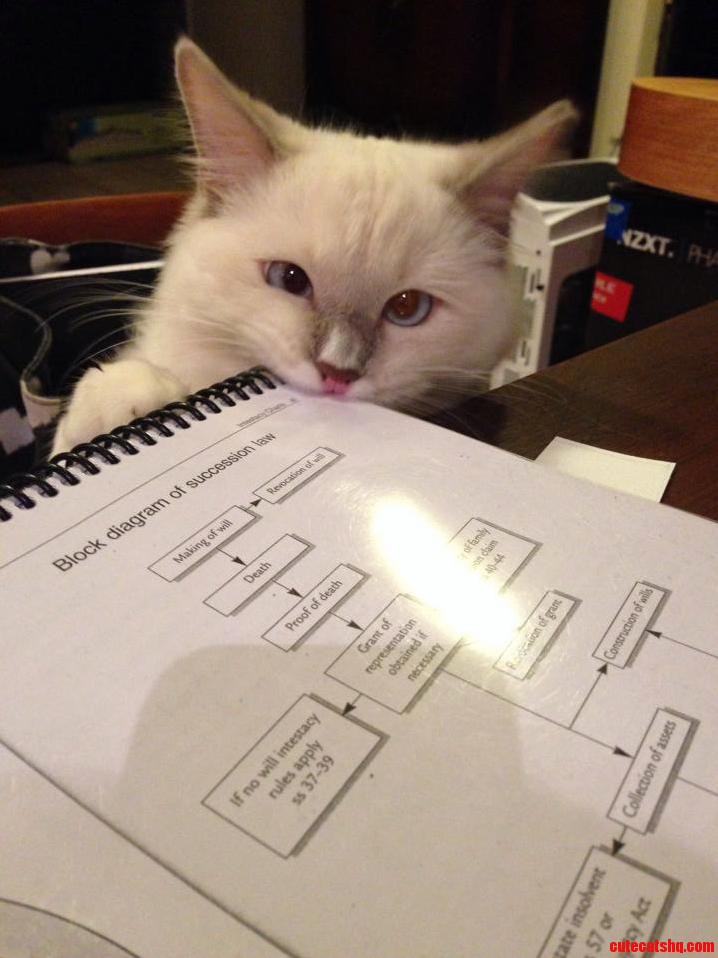 Thats Not for Eating