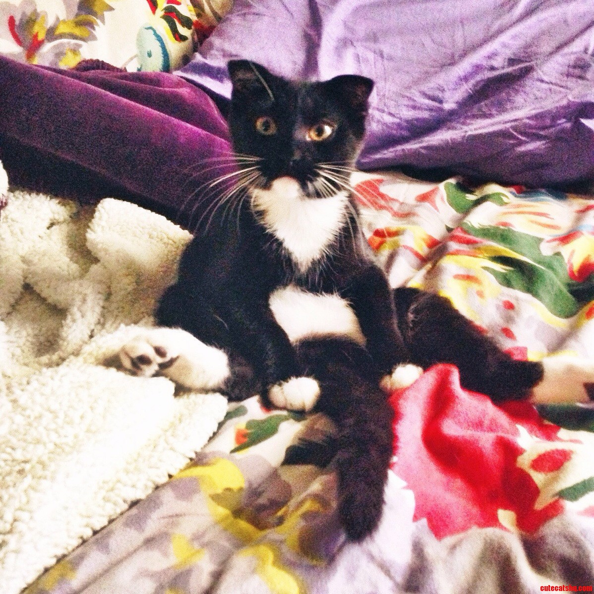The Flop Life.