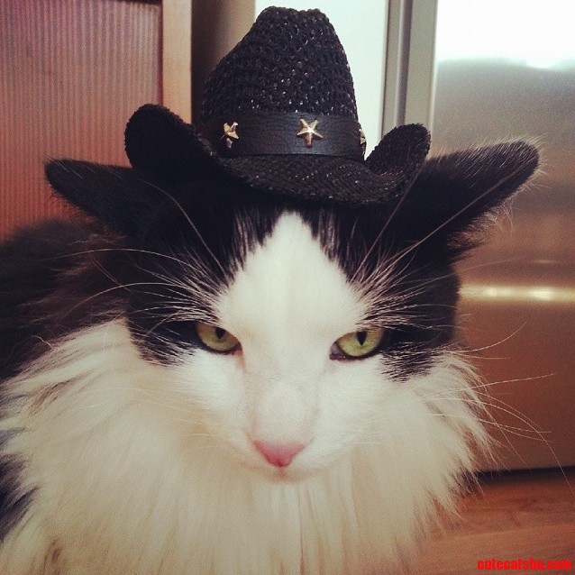 There Is a New Sheriff in Town and He Aint Happy.