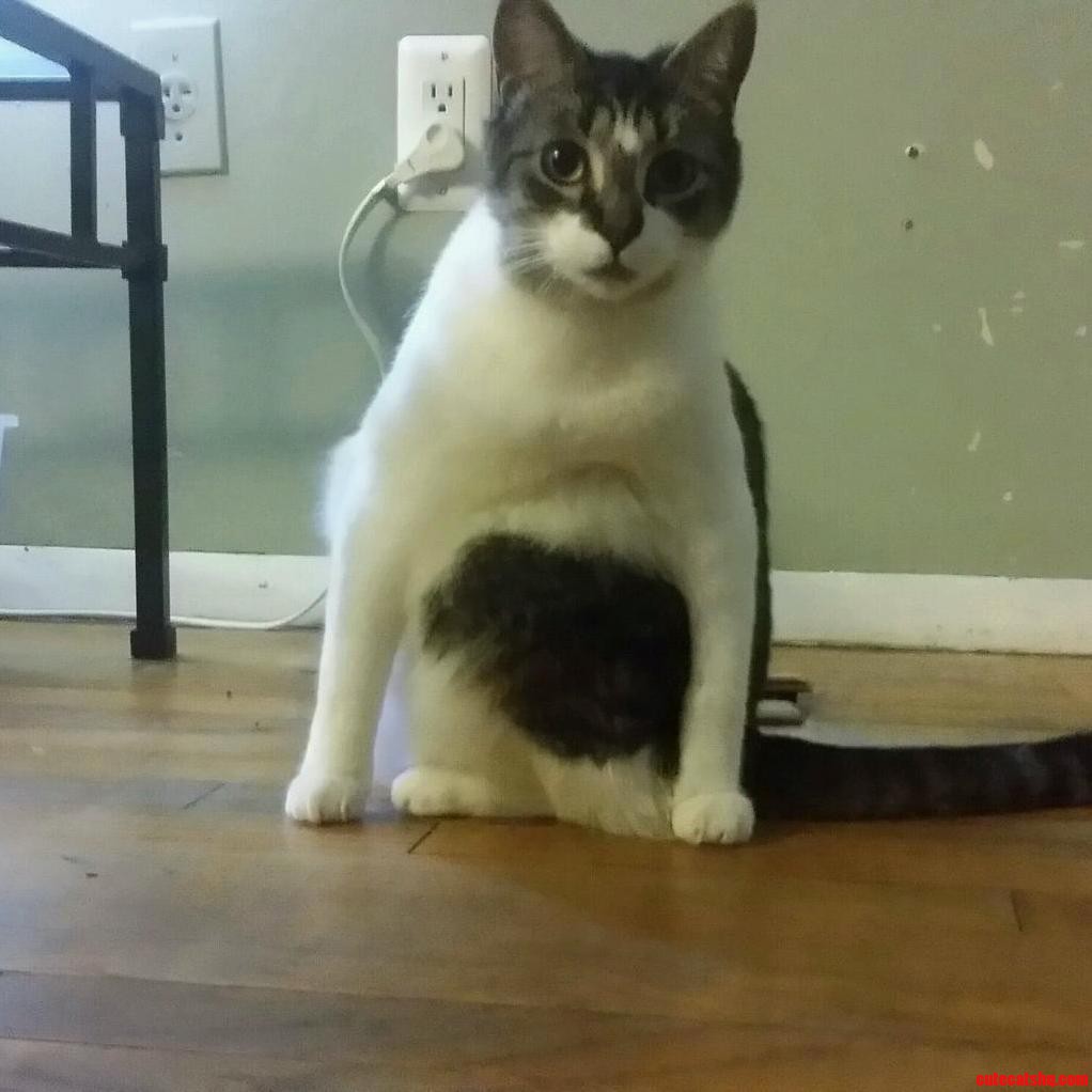 This Does Not Look Comfortable.