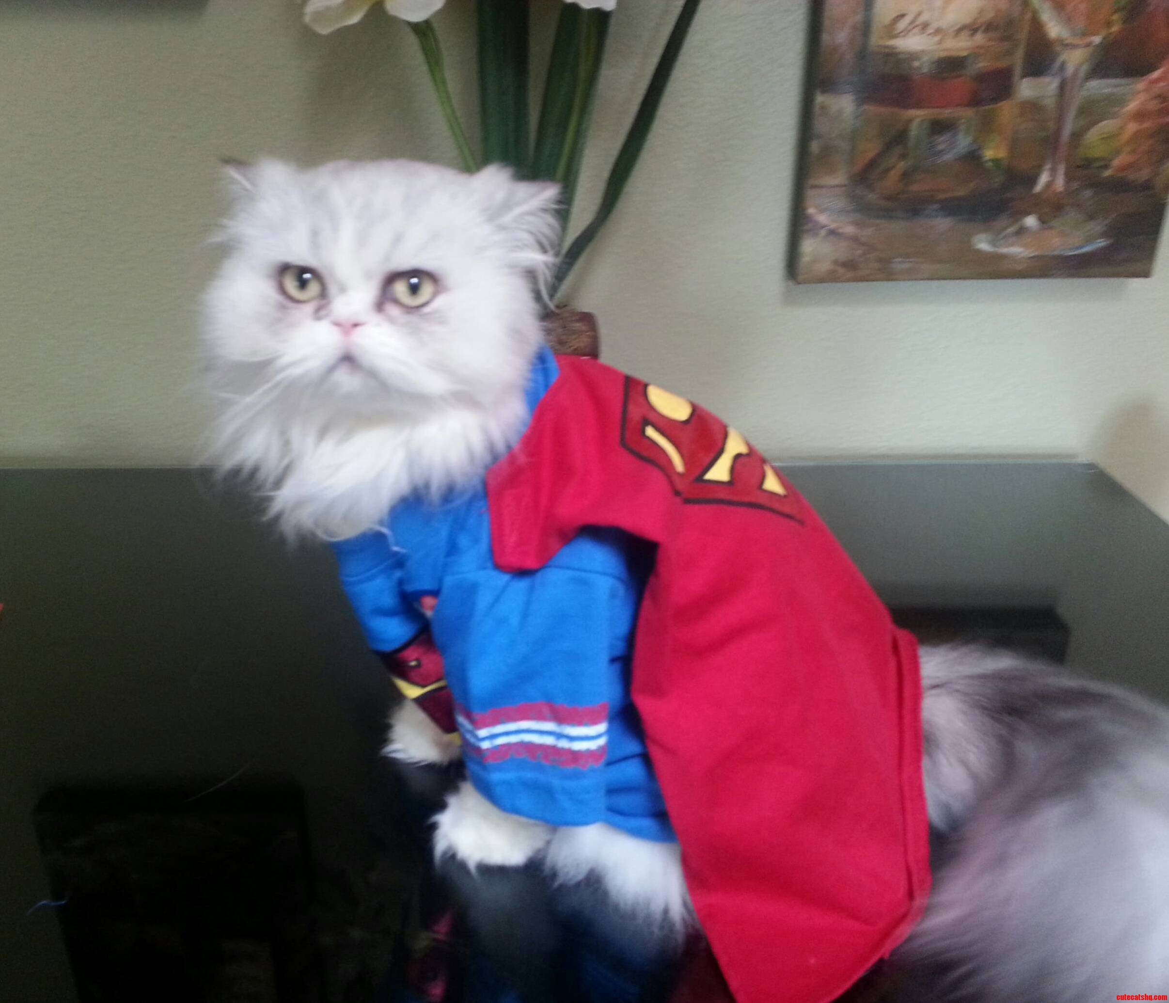 This Gem Won Me Tickets to the Premiere of Man of Steel Last Summer. Thanks Buffy