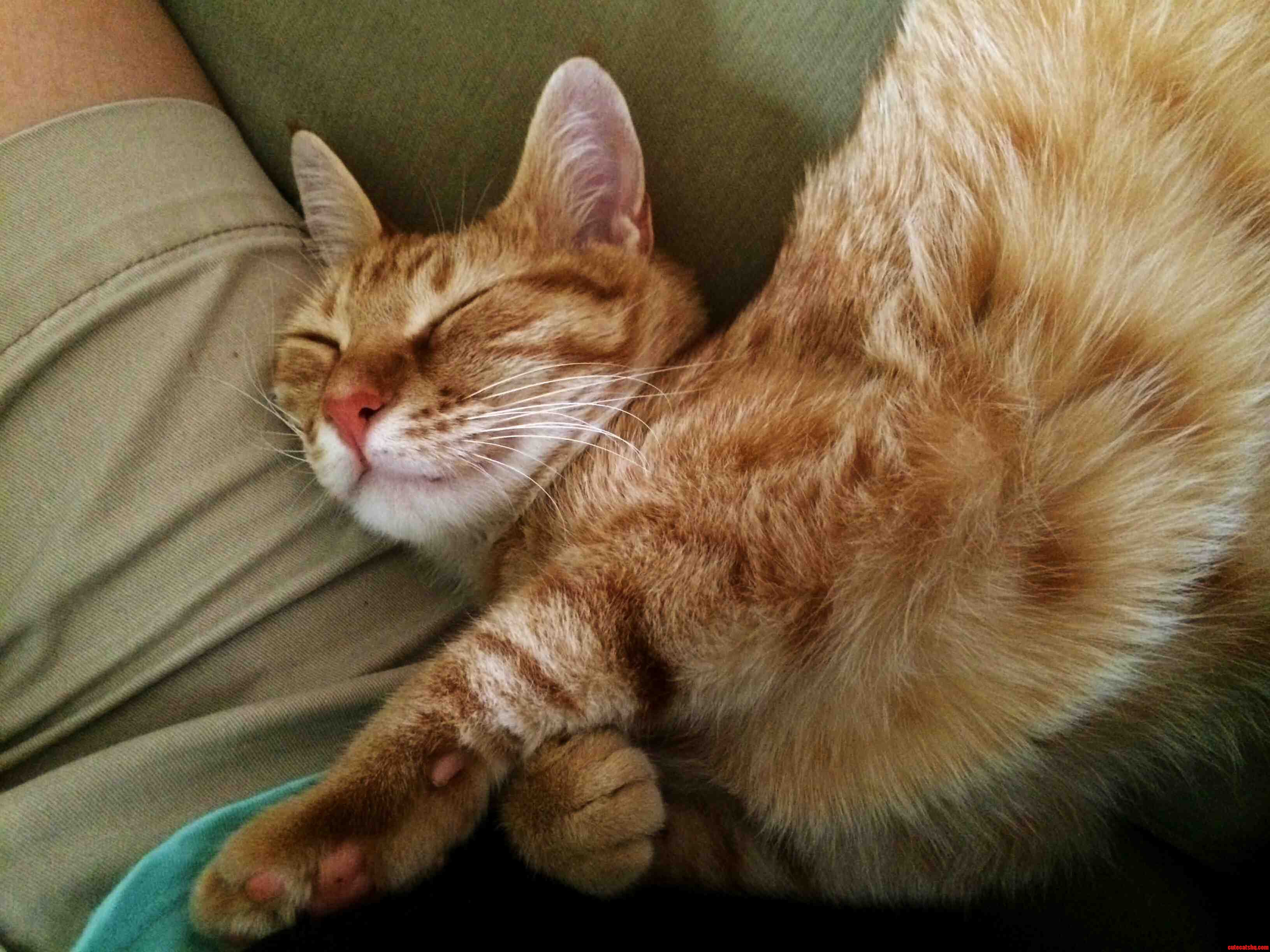 This Girl Is Finally Learning How to Cuddle Hard-core