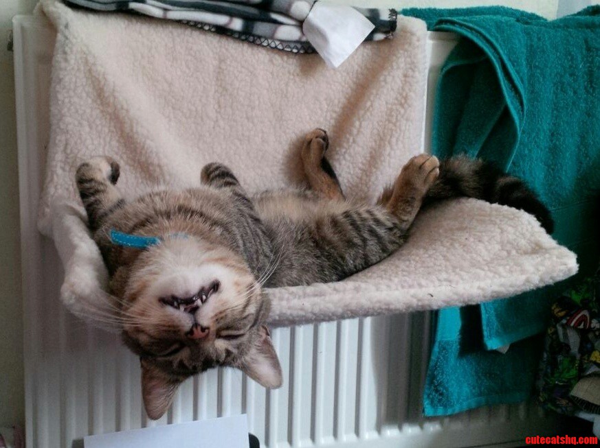 This Guy Decided to Move in 6 Months Ago. Think He Made Himself at Home...