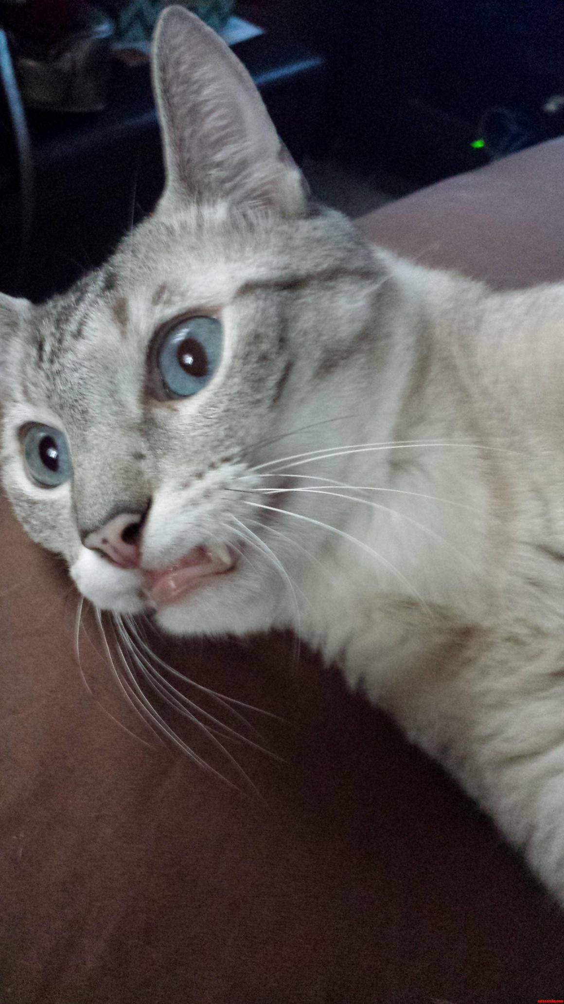 This Is His Happy Face