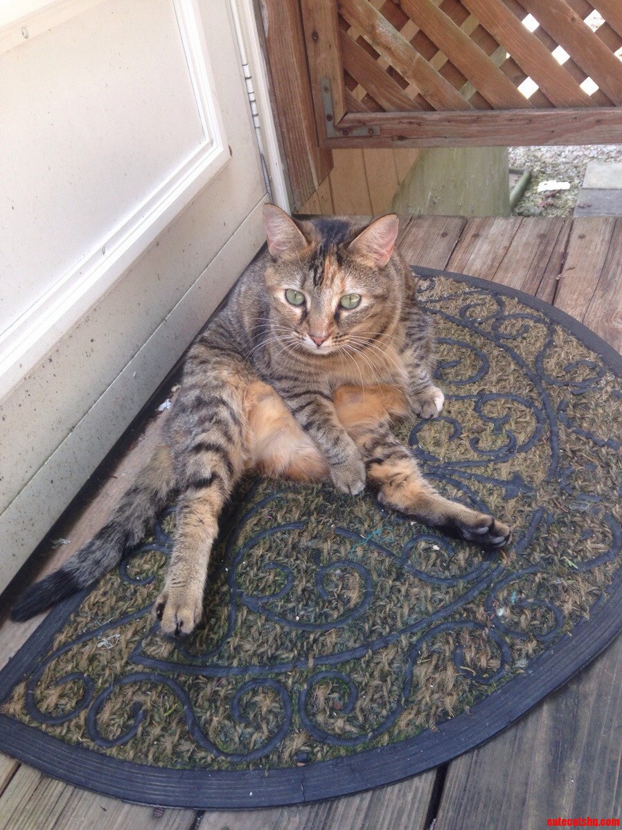 This Is How She Waits for Me to Let Her In.
