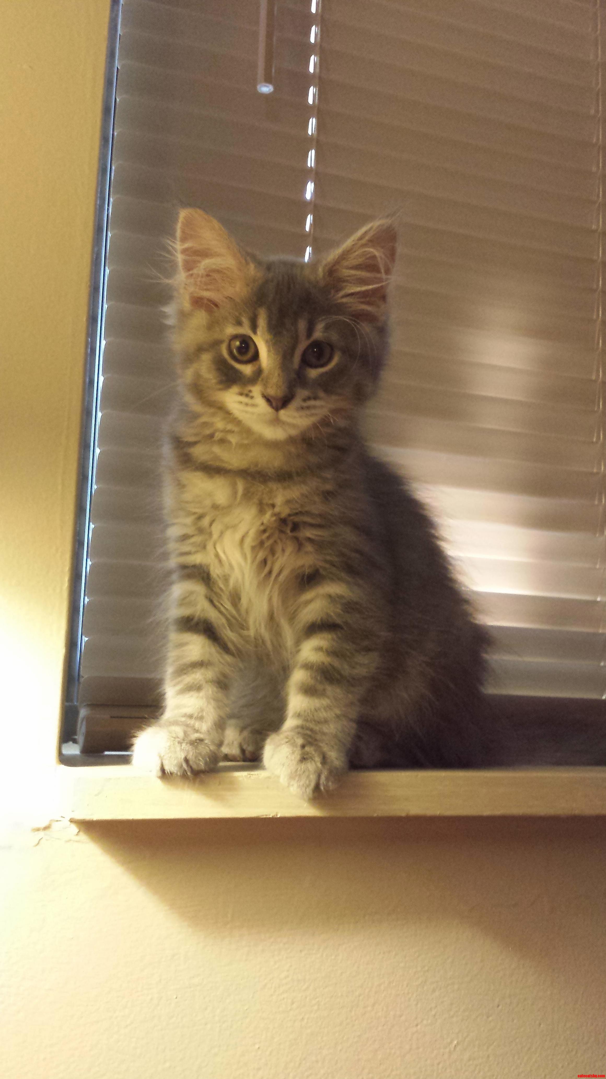 This Is Meredith.