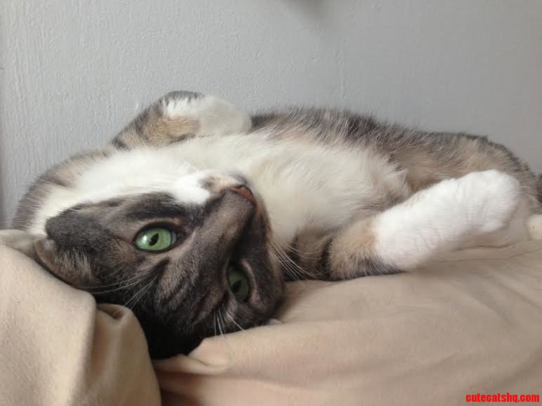 This Is My Best Friend. Her Name Is Ursa.