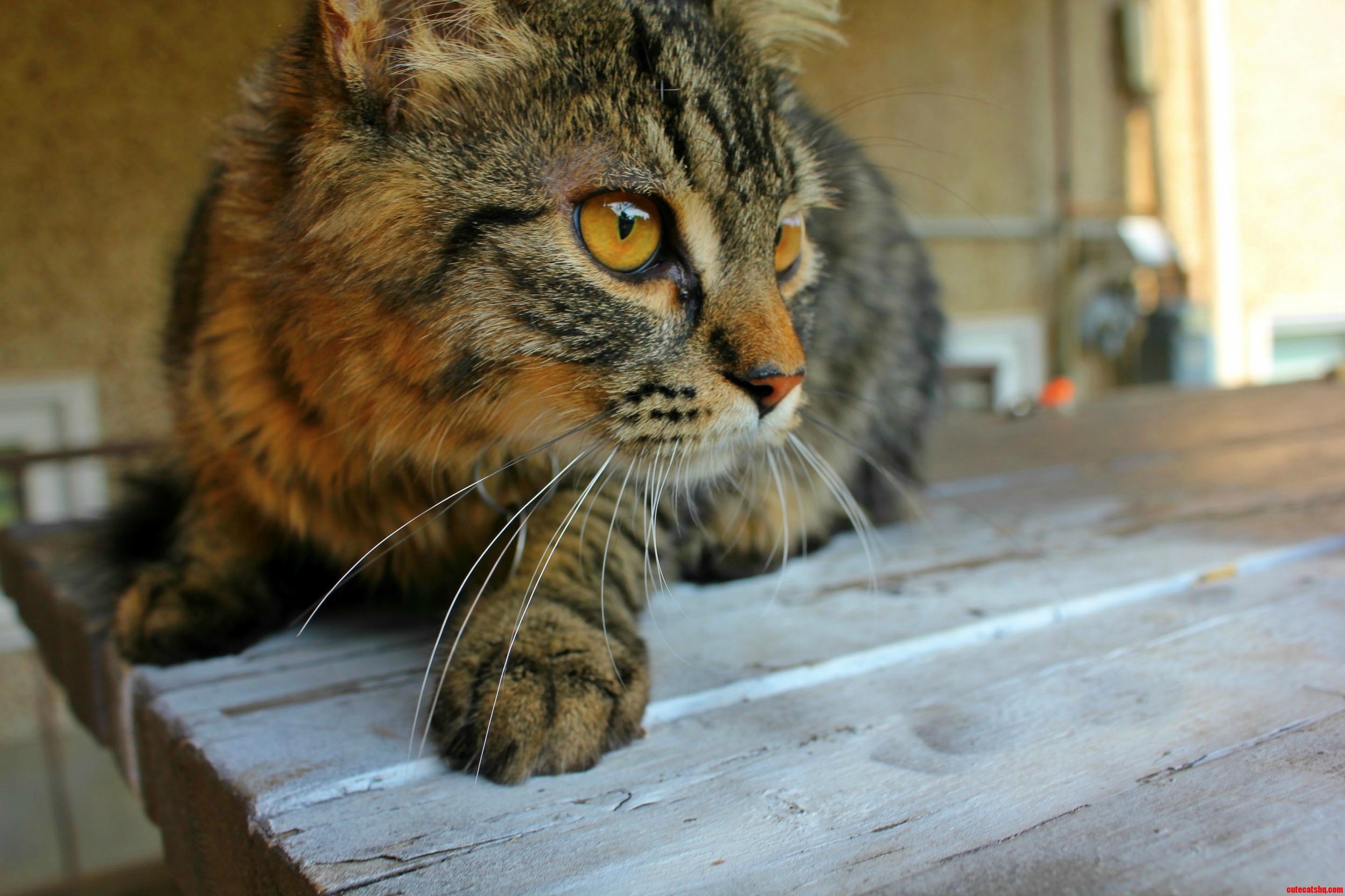 This Is My Loki.