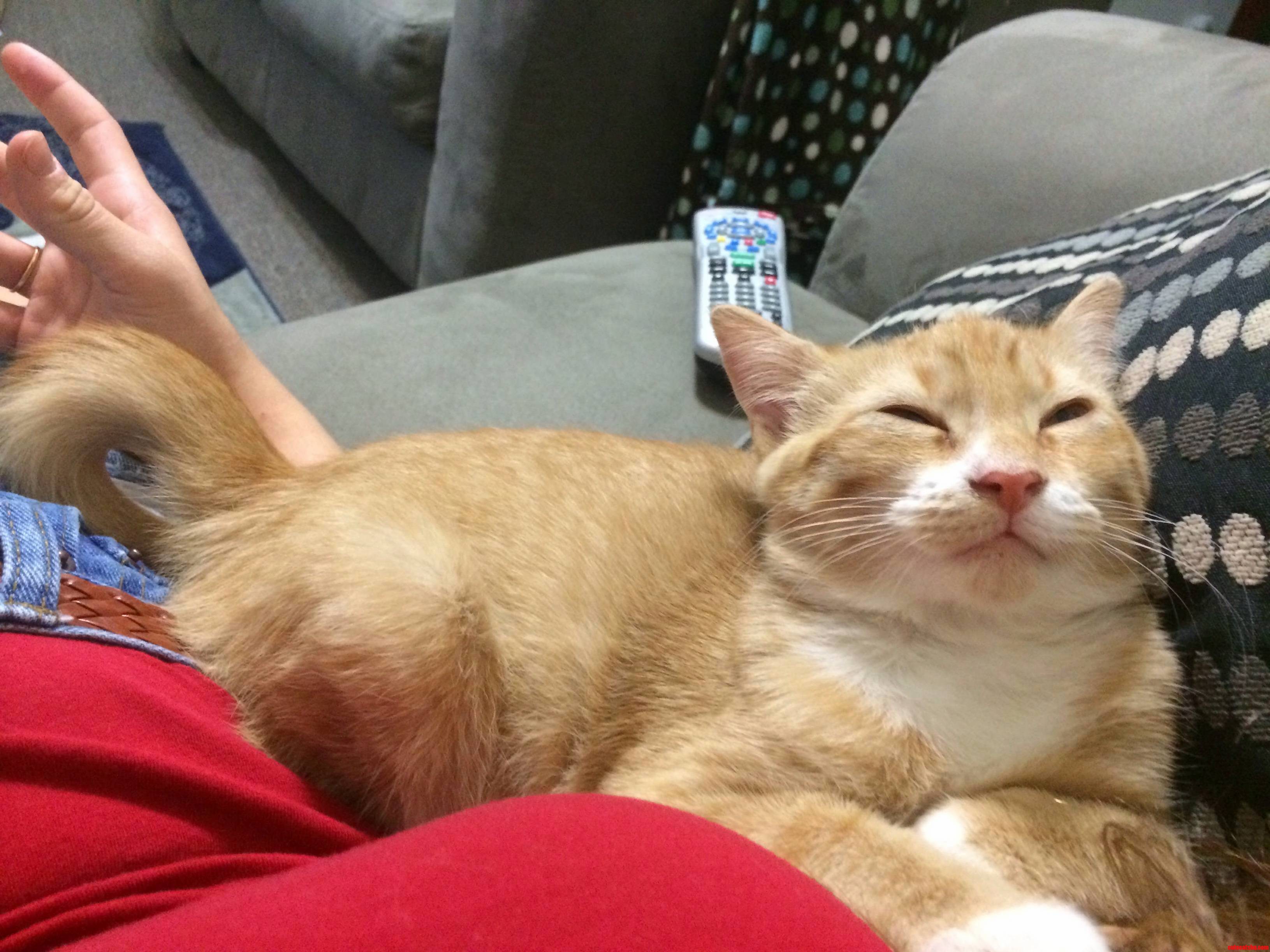 This Is Nala. Looked Like This for Minutes Derp
