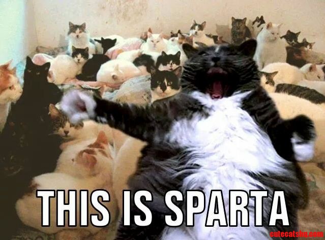 This Is Sparta