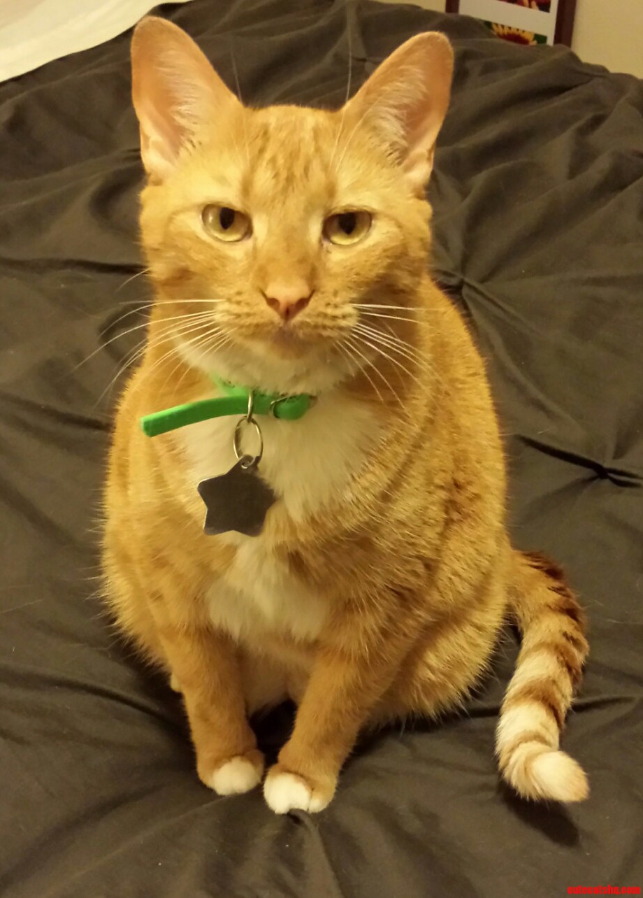 This Is the Face I Get When I Dont Share My Ice Cream.