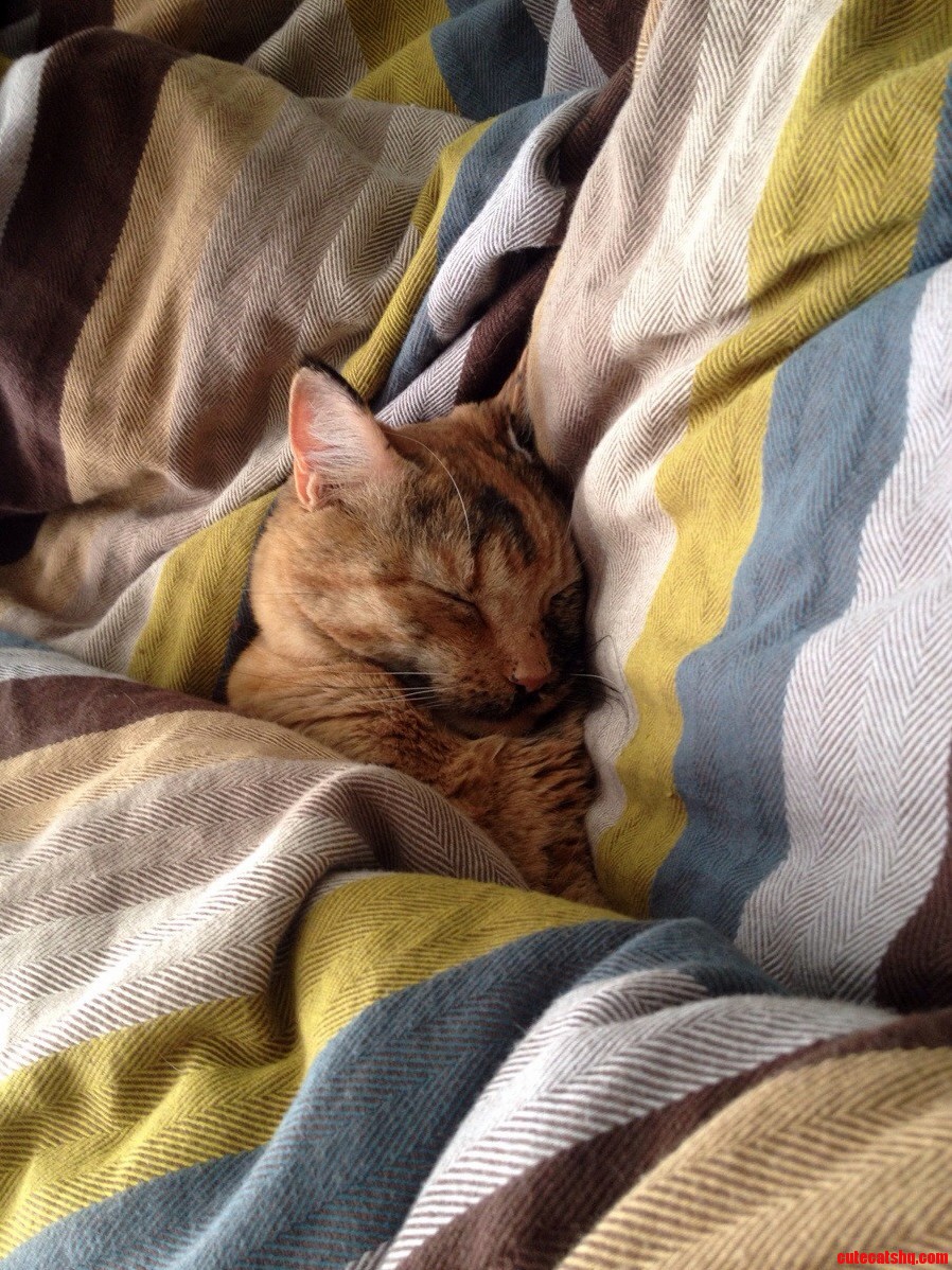 This Is What I Wake Up Next to