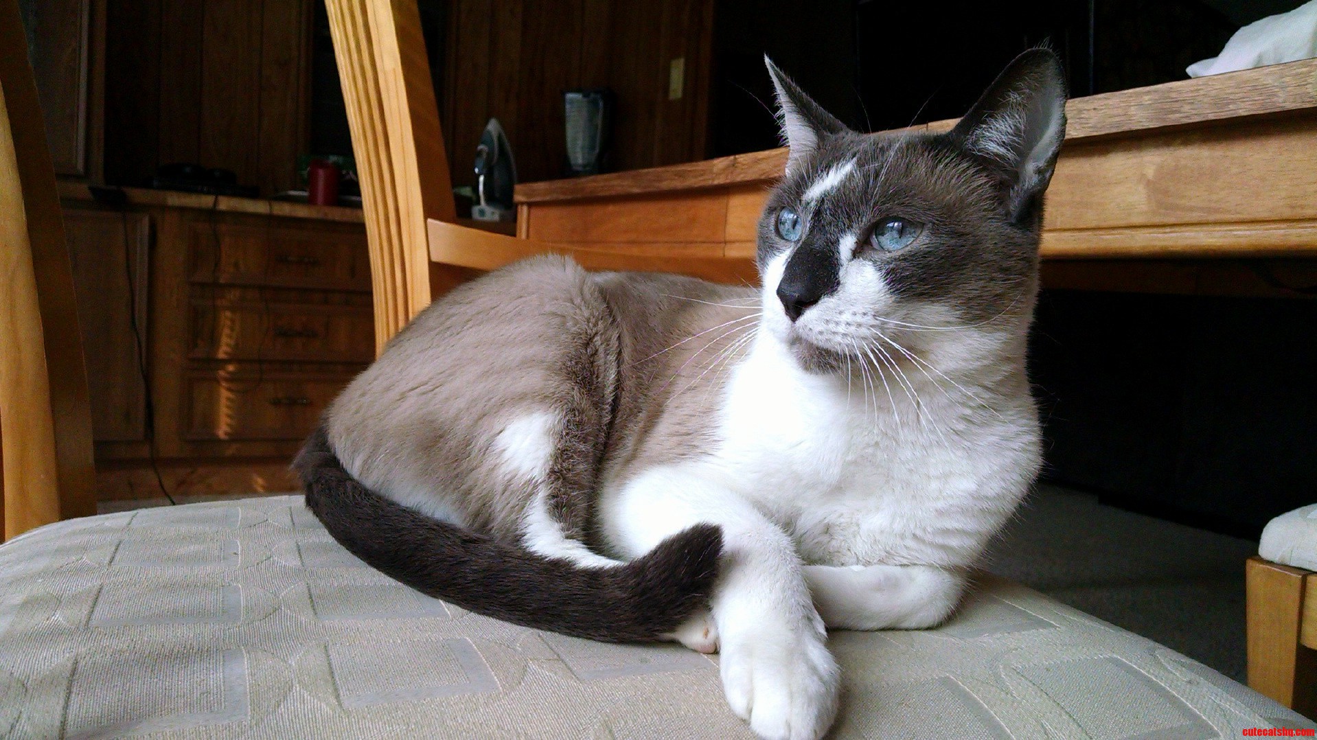 This Majestic Old Man Is Sharing His Space with Me.