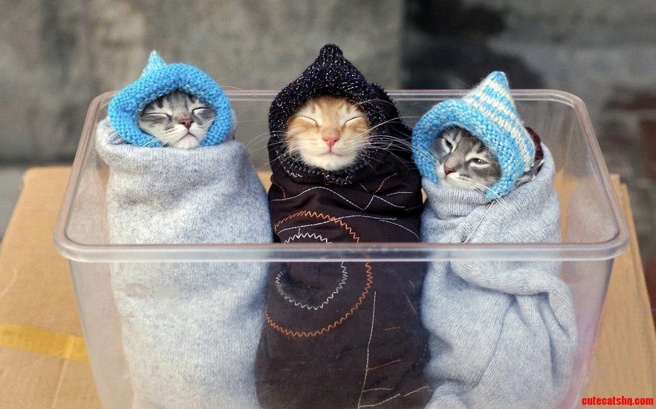 Three Cuties...
