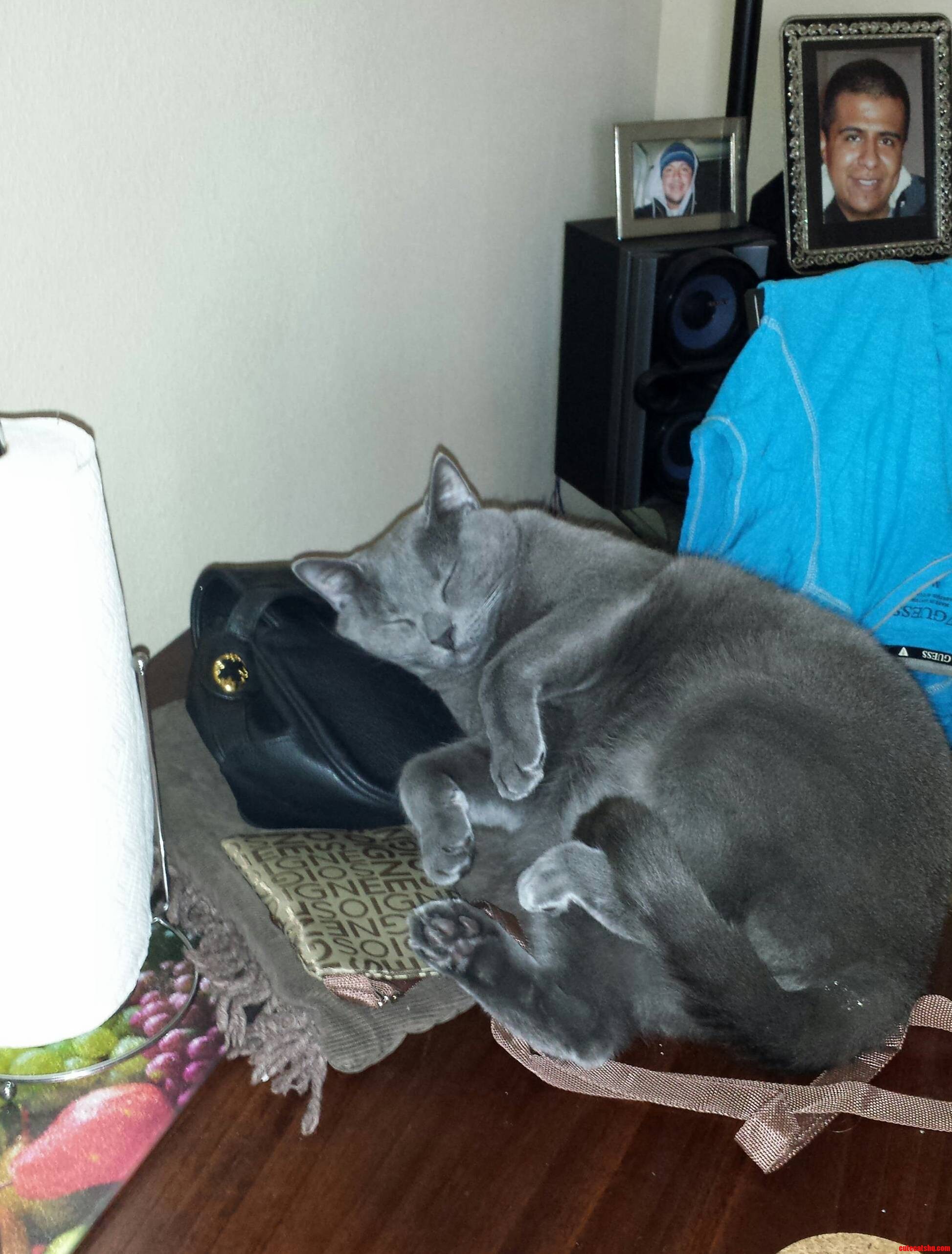Tito May Have an Uncontrollable Purse