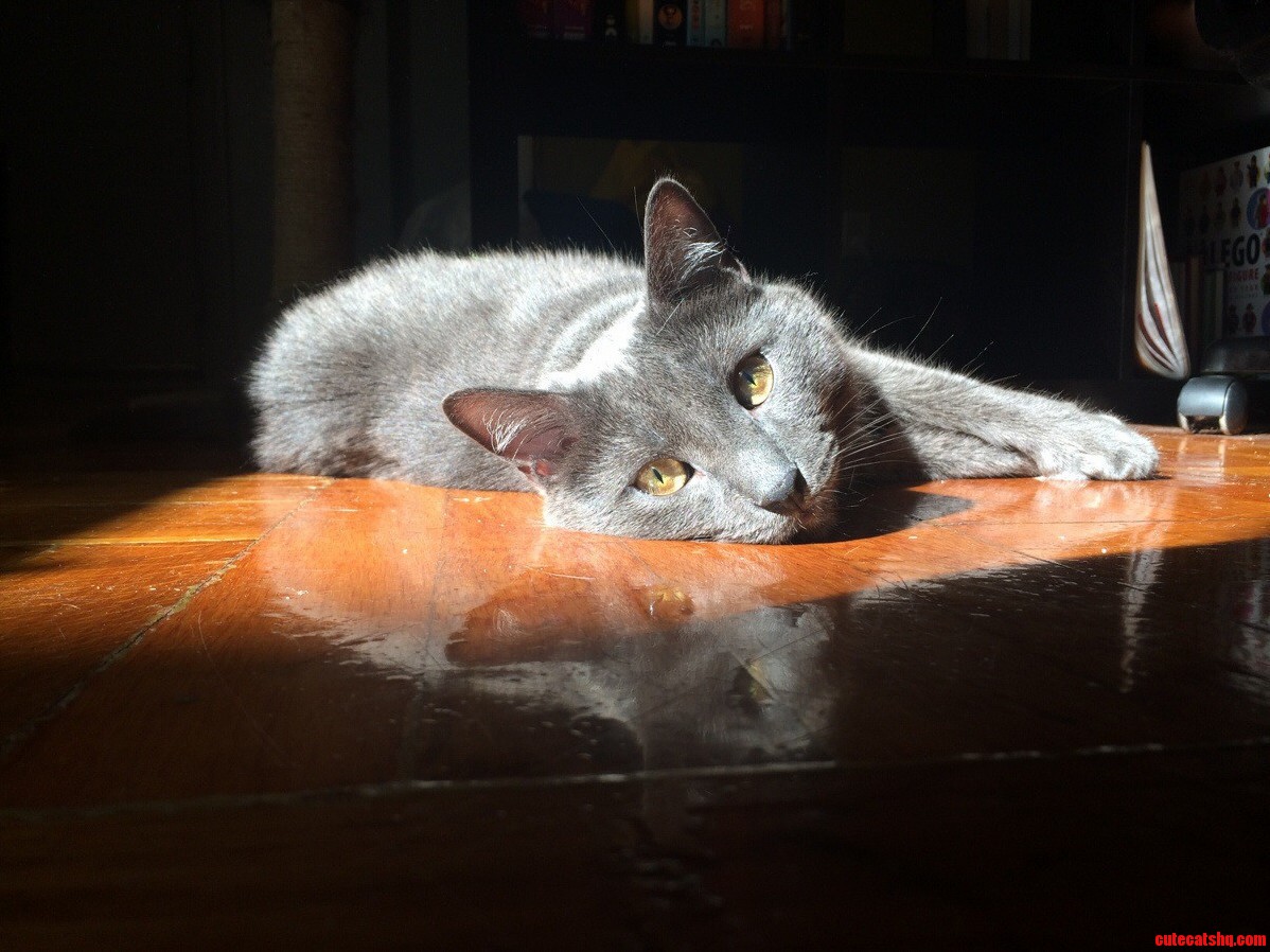 Toby Sunshine.