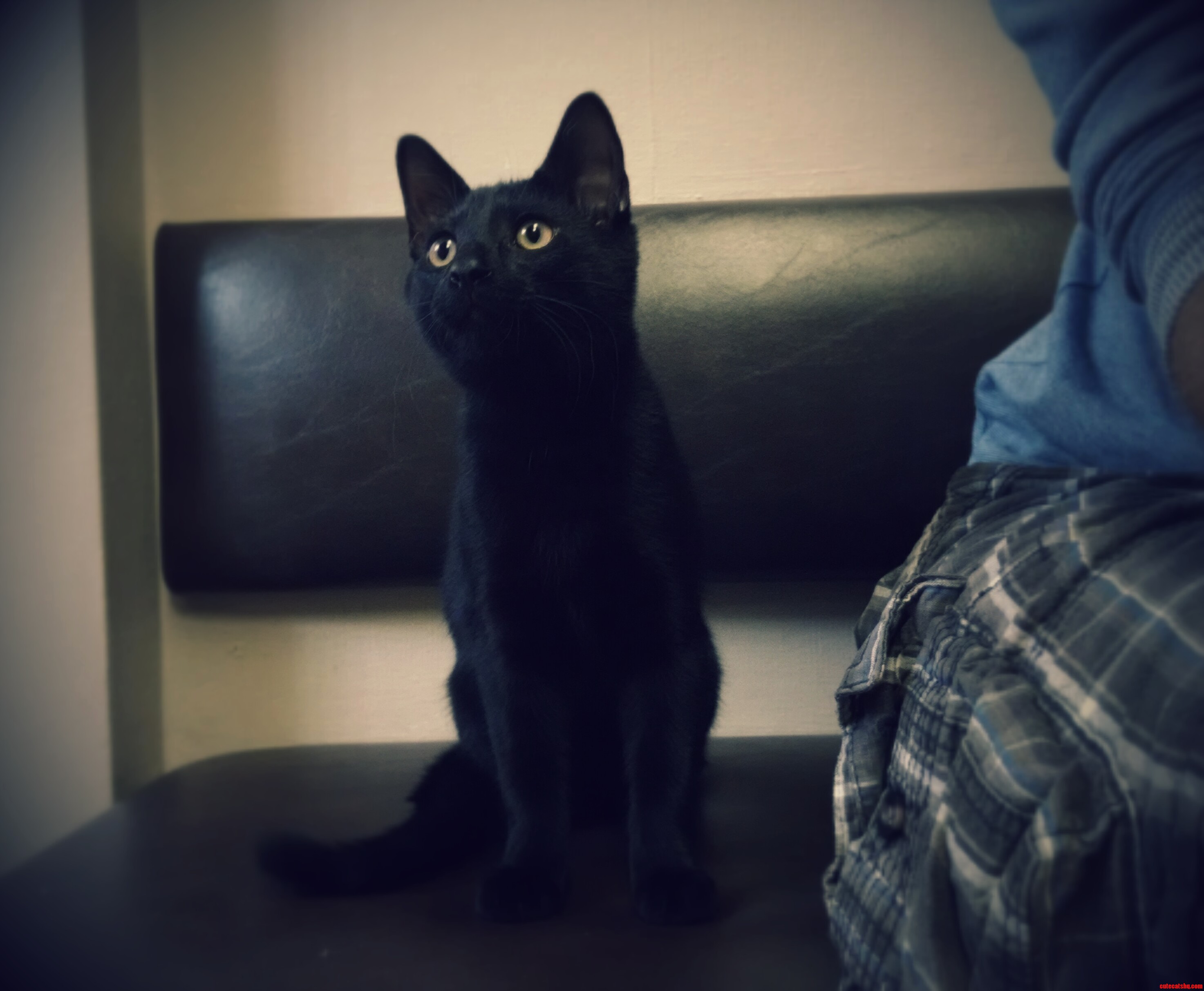 Waiting Room at the Vet. Good Boy
