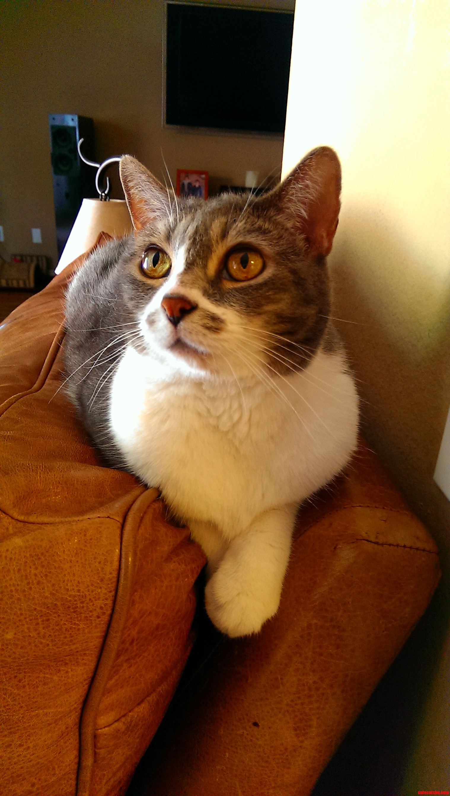 We Call Her the Queen.