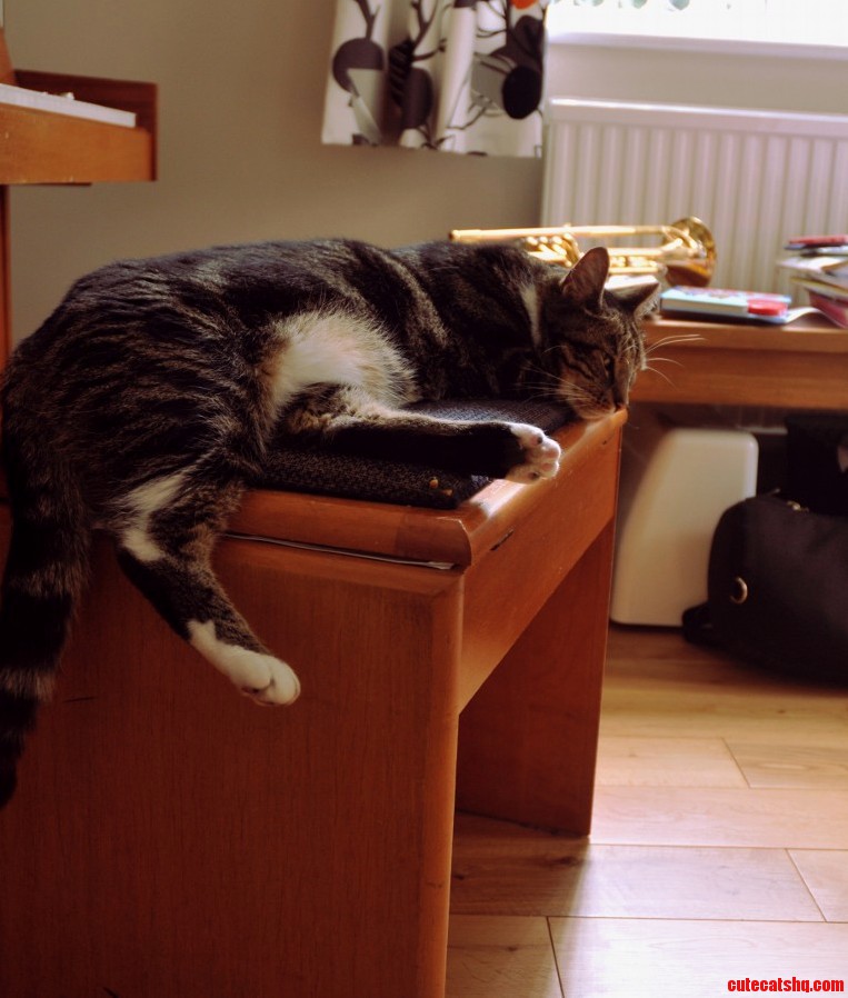 We Got a New Family Member He Seems to Be Settling in Well...
