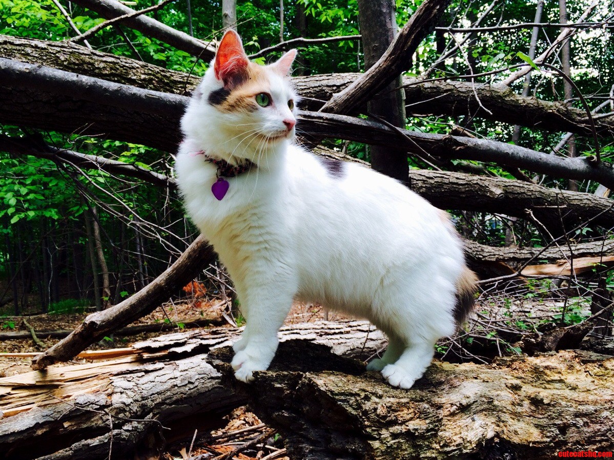 We Went on an Adventure